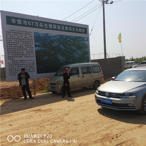 辛集市67万头生猪聚落采购香蕉大网站免费看精品钢三柱香蕉视频网站下载